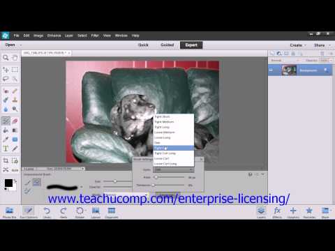 Adobe Photoshop Elements 12 Tutorial Painting Tools Employee Group Training 6.4
