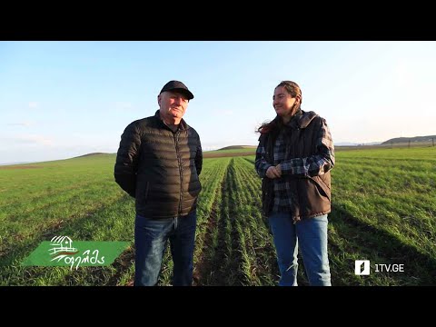 #ფერმა დავით ხმელიძის წარმატებული მრავალპროფილური მეურნეობა