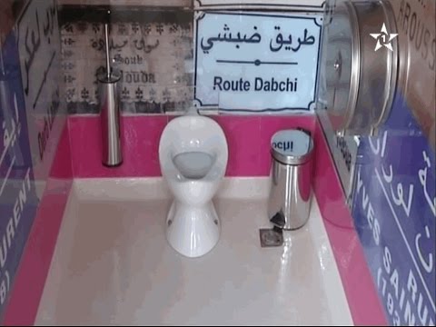 فيديو: من يصنع مراحيض AquaSource لـ Lowes؟