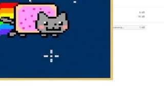 [Batch Animation] Nyan Cat Net Worth
