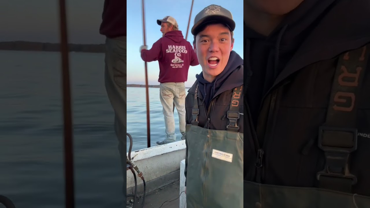 Oyster hand tonging in Marylands Chesapeake bay.