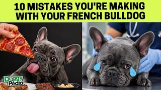 10 Mistakes You're Making With Your French Bulldog Net Worth