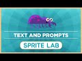 Sprite Lab Quiz