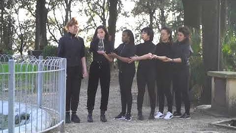 One site-specific performance in Italy