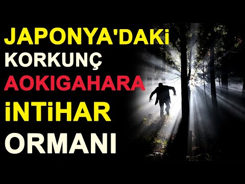 Japonya'daki korkunç Aokigahara intihar Ormanı