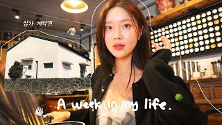 (eng) DAILY VLOG| TICKING ONE OF MY BUCKET LISTS...AND THAT'S SIGNING A CONTRACT FOR A PLACE IN JEJU