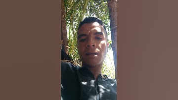 انهم كانوا لايرجون حسابا وكذبوا بآياتنا كذابا