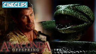 David Hasselhoff Meets His Match | Anaconda 3: Offspring | CineClips
