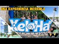 XEL HÁ, TE MOSTRAMOS ESTA EXPERIENCIA, VALE LA PENA? | MÉXICO | 4K |