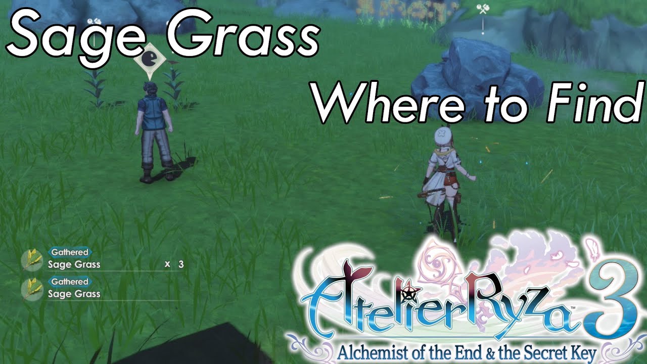 Atelier Ryza 3 Where to Find Sage Grass YouTube