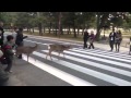 Deer in Nara crossing the street