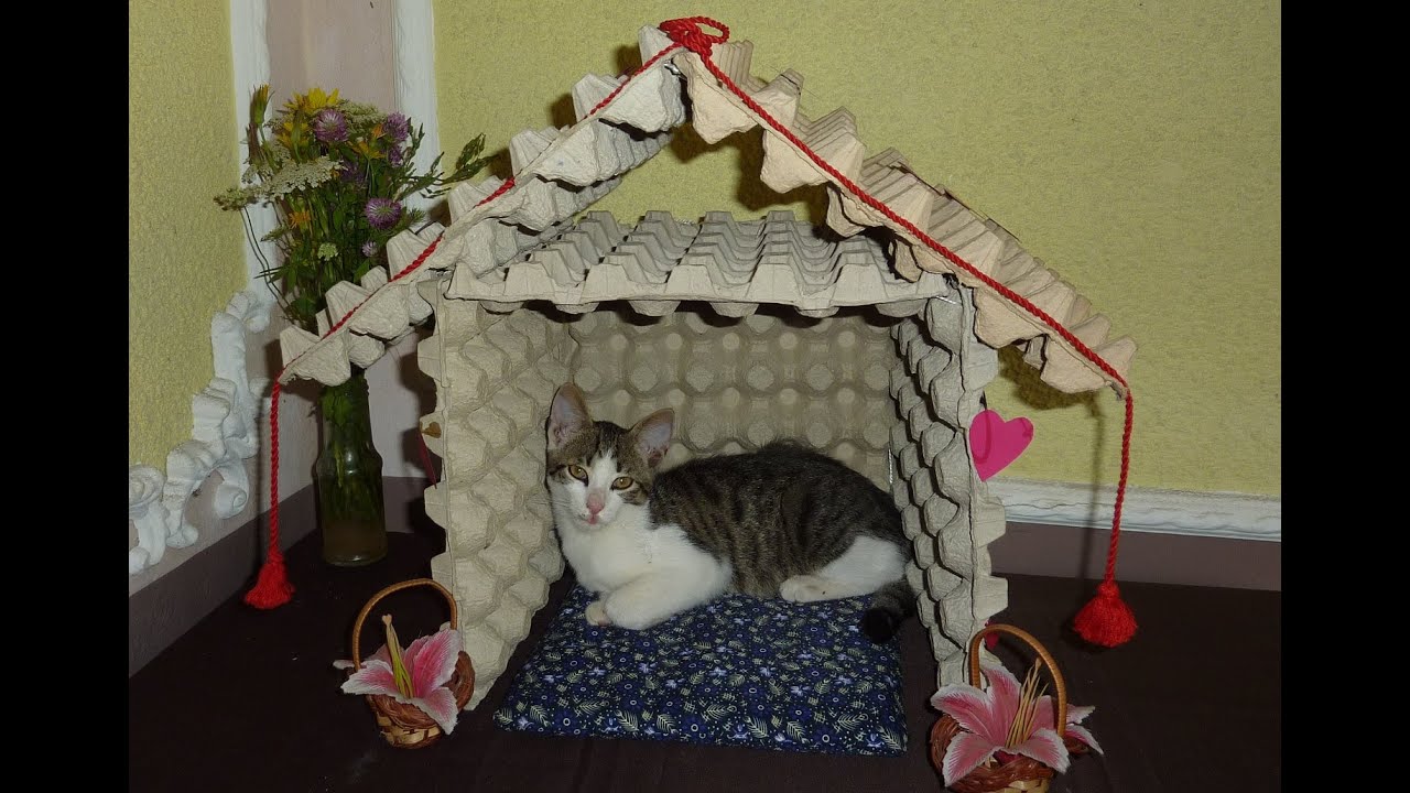 How to Make a Cat House from Recycled Egg Trays DIY - Howl ...