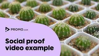 Example of a social proof video | What your business should focus on | Promo.com