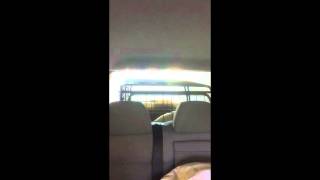 Bullterrier I Biltvätt