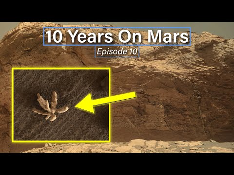  10 Years On Mars (Ep 10): A Martian Flower For Curiosity
