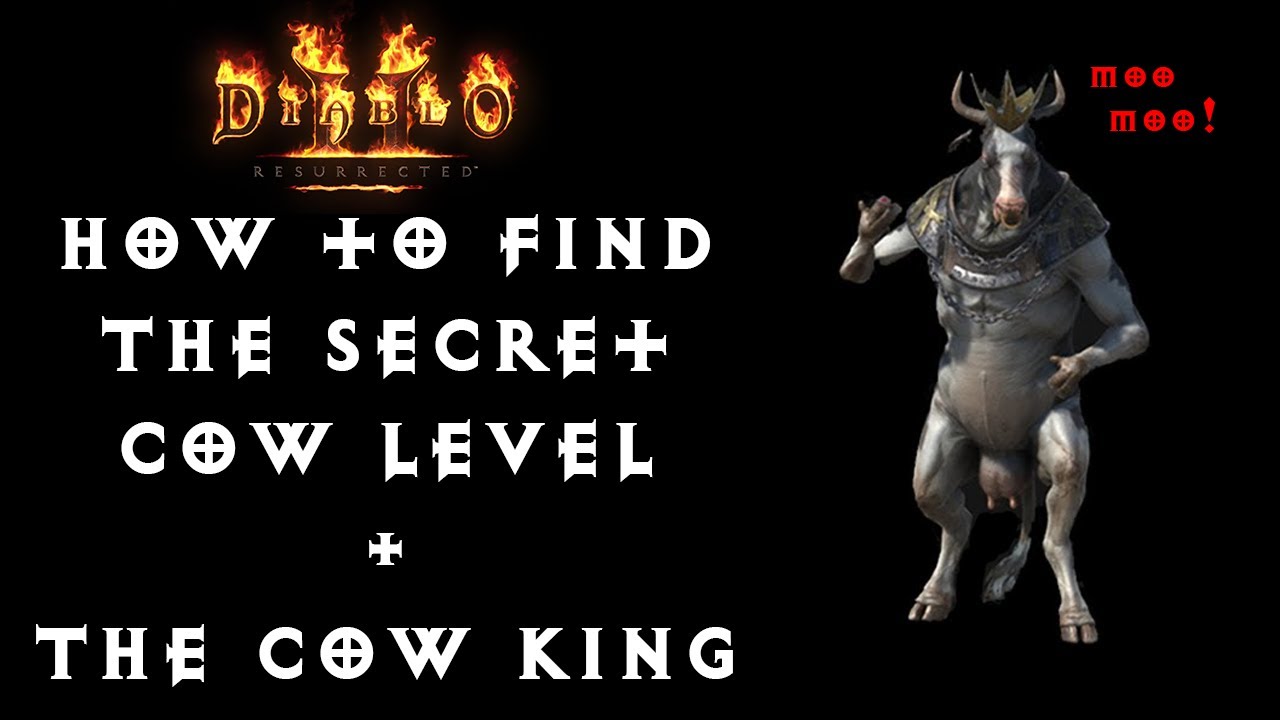 D2R HOW TO FIND THE SECRET COW LEVEL + THE COW KING YouTube
