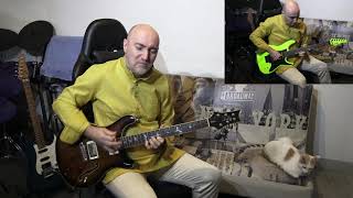 Carnatic guitar