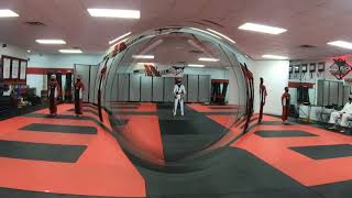 Snap Kick Martial Arts Black Belt Spectacular