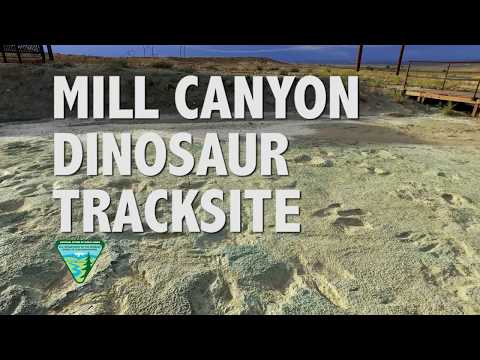 Mill Canyon Dinosaur Tracksite