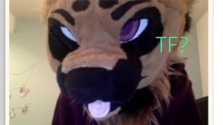 Fursuiting On Omegle |Charlie|