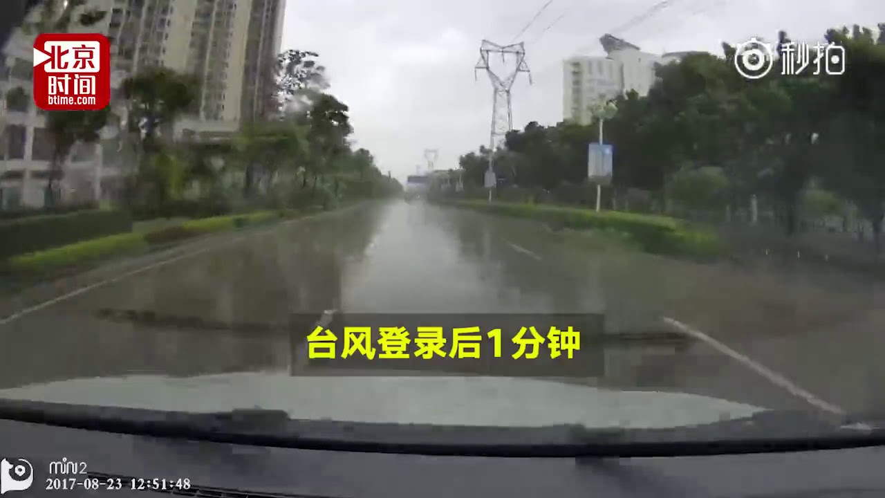 “天鸽”来袭风卷树砸！路面出行频频中招