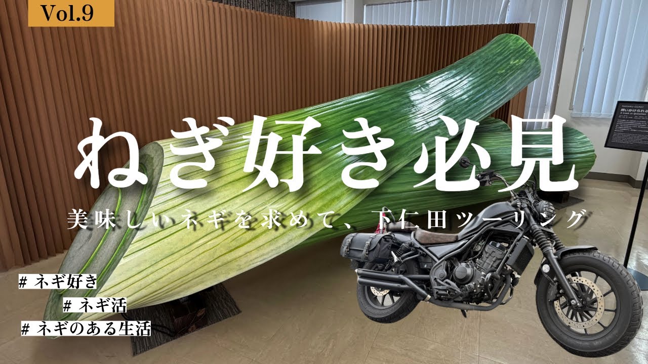 【モト】ネギ好き必見！絶品ネギの一本揚げ𖤐˒˒