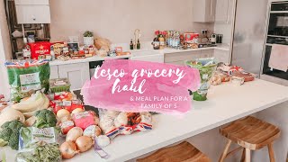 TESCO GROCERY HAUL & MEAL PLAN - FAMILY MEAL IDEAS - JULY 2020