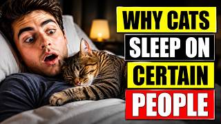 The DEFINITIVE Reasons Why Your Cat SLEEPS With You