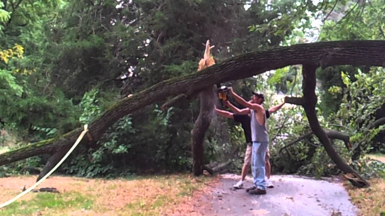 Crazy rednecks wit chainsaws YouTube