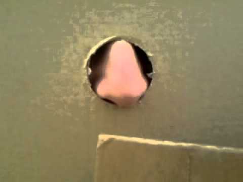Studenten Scheide Braune Gloryhole