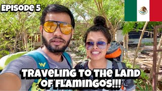 Tulum to Rio Lagartos | Traveling in ADO bus and Colectivo | Travel Guide |Mexico Series - Episode 5