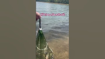 Săn cá hoàng đế mùa nước đang rút hồ trị an 2025 #fishing