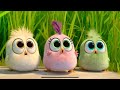 J.Geco - Chicken Song/ Angry Birds (Music Video HD)