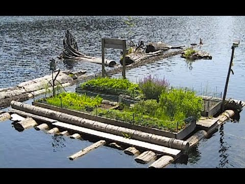 camera iphone 8 plus apk 675-square-feet Small, Off-grid Float Cabin in Coastal British Columbia