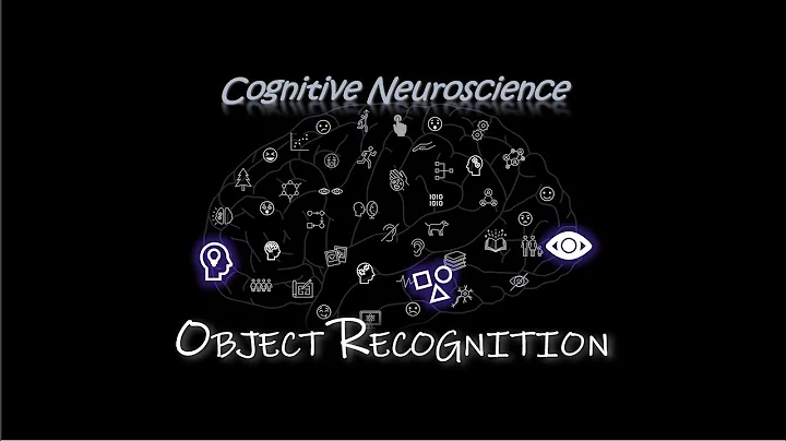 Object Recognition [Cognitive Neuroscience]