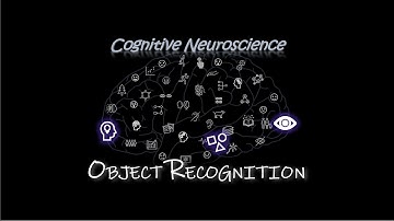 Object Recognition [Cognitive Neuroscience]
