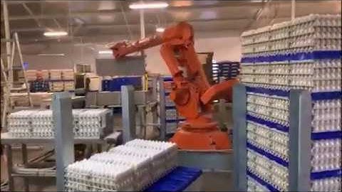 Robot Egg Palletizer at farm level - by Triplelima bv