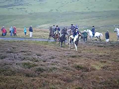 Lauder Common  Riding 2009