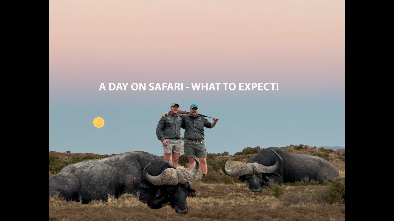 What to Expect on Your First Safari? - A Day in the Life on Safari ...