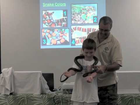lizard skin grips Sample Reptile Show