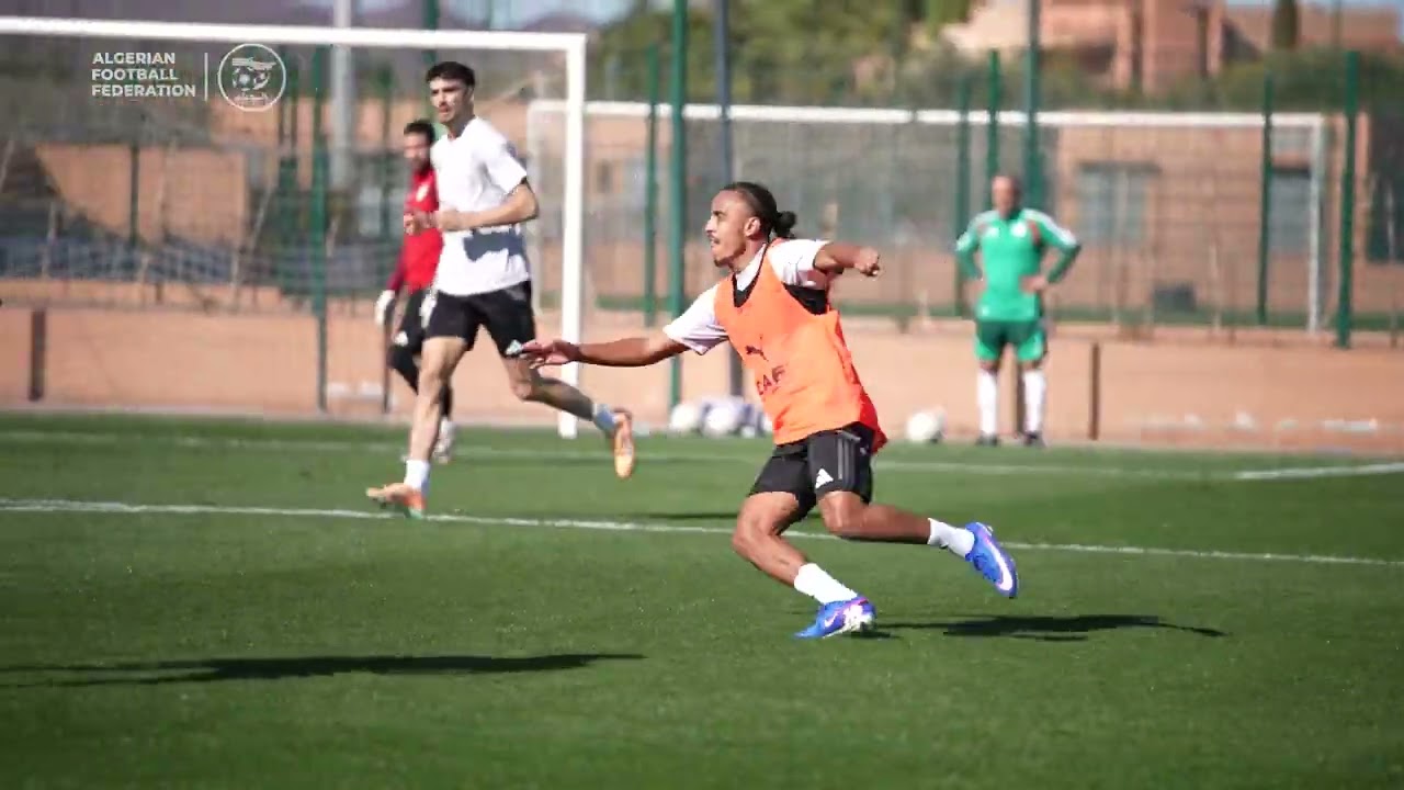 #LesVerts⭐️⭐️ | #123vivalAlgérie🇩🇿| #AFCON2025