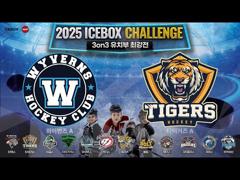 LIVE • 와이번즈 A vs 타이거즈 A • 2025 ICEBOX CHALLENGE 3on3 아이스하키대회 | 유치부 최강전 Div.1 • 2025. 3. 2
