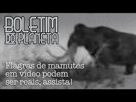 Vídeo: Testemunhos De Mamutes Vivos - Visão Alternativa