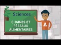 Sciences Les Chaînes Alimentaires Et Les Réseaux Alimentaires 2 Sciences Les Chaînes Alimentaires Et Les Réseaux Alimentaires 2