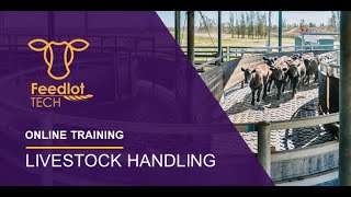 Livestock Handling Feedlot Fundamentals Online Training Package