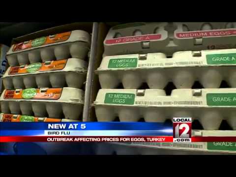 Egg, turkey meat prices begin to rise as bird flu spreads