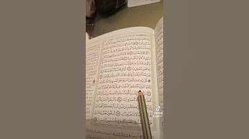 سورة زمر اية 53