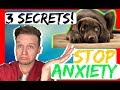 How to stop dog anxiety - 3 Secret tips - dog anxiety training that works fast!