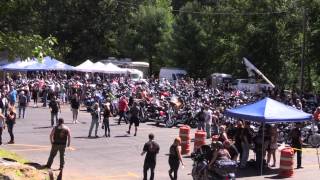 Remembering Shawna Jean Larassa