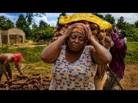 😭Only Three Bags? This Is The Smallest Cassava Load We've Handled So Far!😥 | Rural Ghana